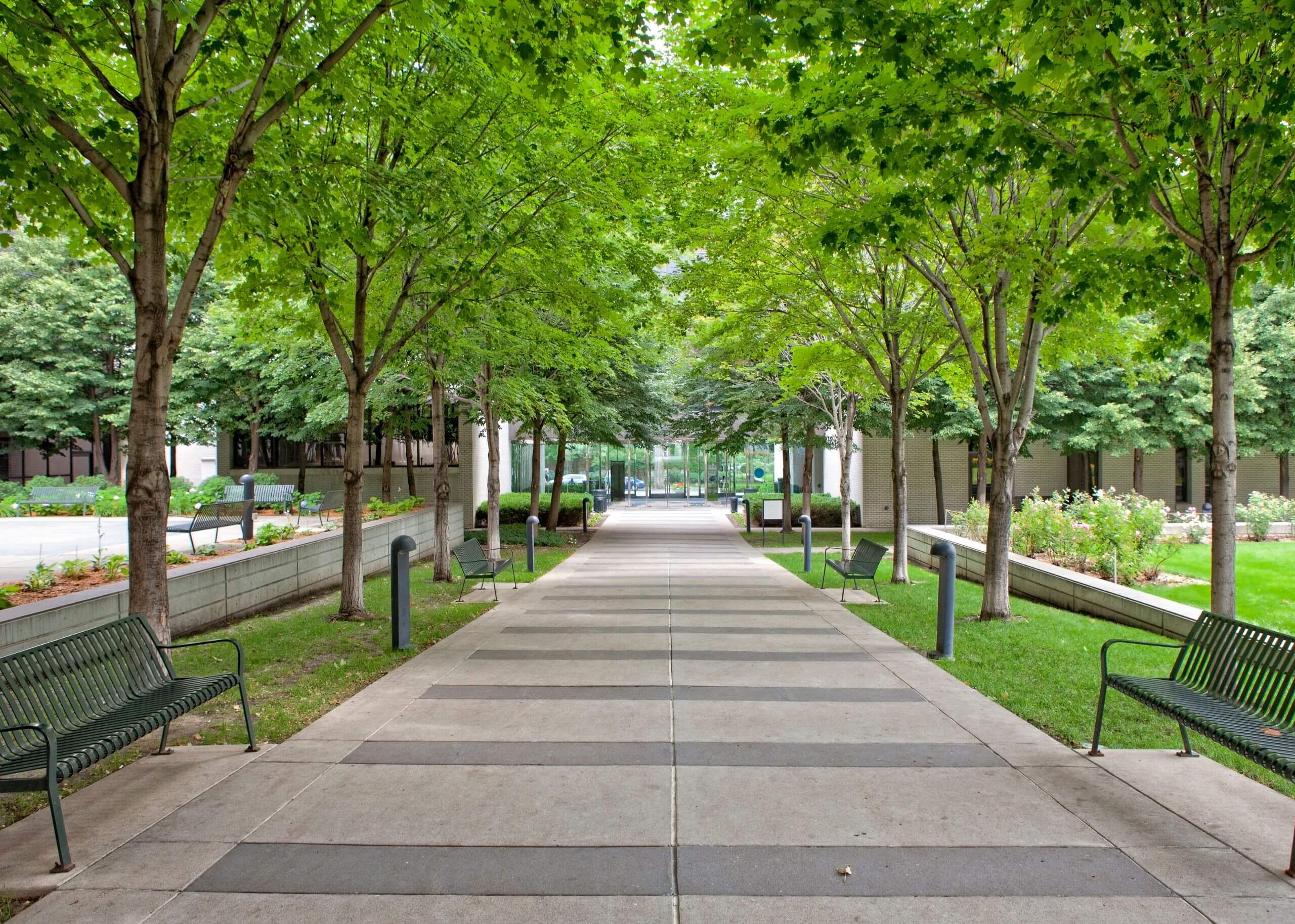 Clean Streets and Sidewalks